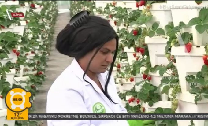 Bijeljina: Organska proizvodnja voća i povrća