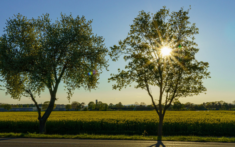 Danas sunčano i toplije, temperatura do 20 stepeni