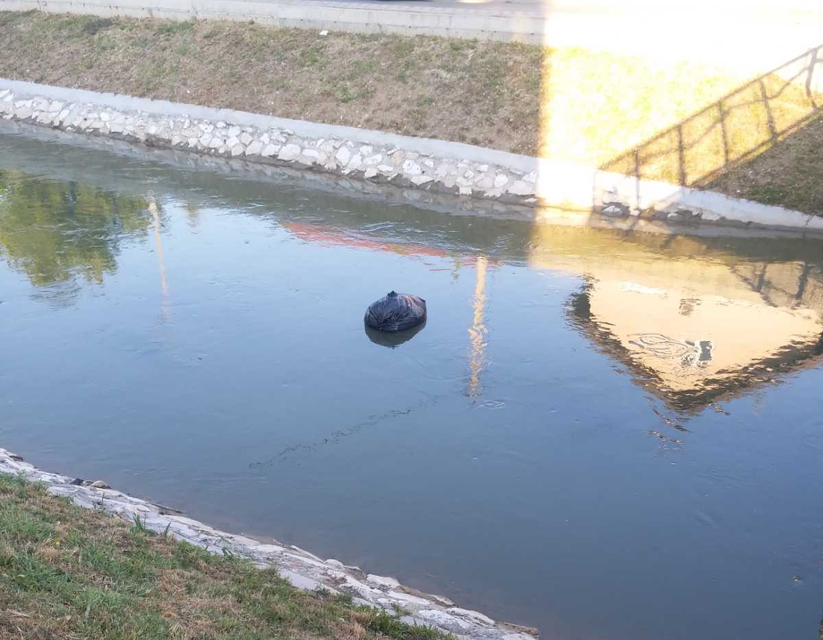 Dašnicom plutaju vreće smeća FOTO
