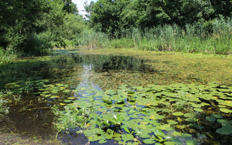 Grad Bijeljina pomaže čišćenje Gromiželja (FOTO)
