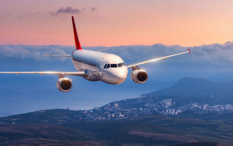 Ostavio ju je momak, ona popila dvije flaše alkohola, ušla u avion i napravila haos