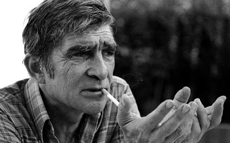 Miroslav Mika Antić - vječiti dječak srpske literature