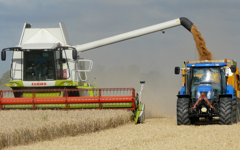 Počela žetva: Prestanak padavina obradovao semberske ratare