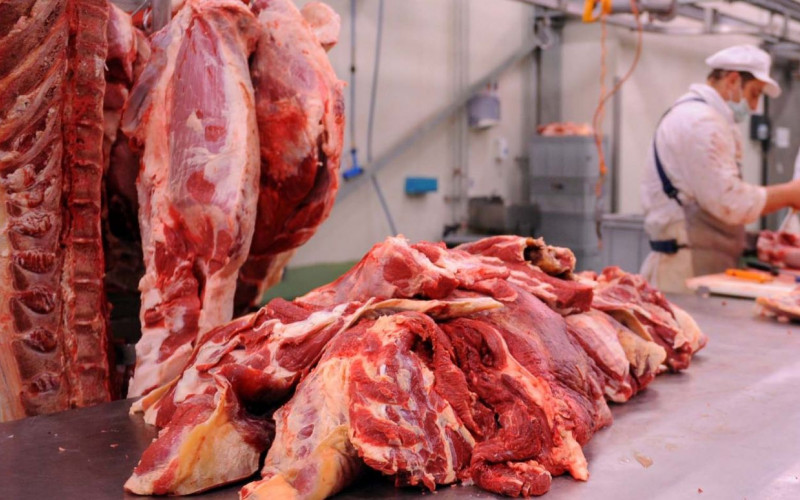 BiH u avgustu nastavlja izvoz mesa u Tursku