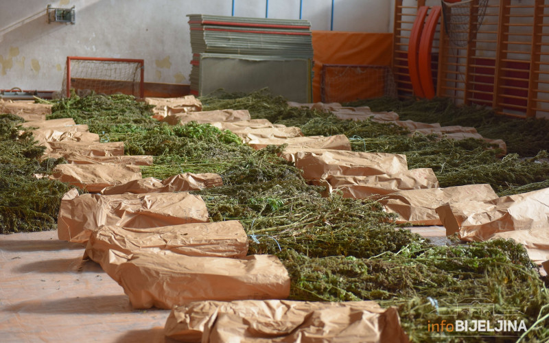 ZATEČENE DOK SU OBILAZILE BILJKE Dvije osobe uhapšene zbog proizvodnje i trgovine drogom