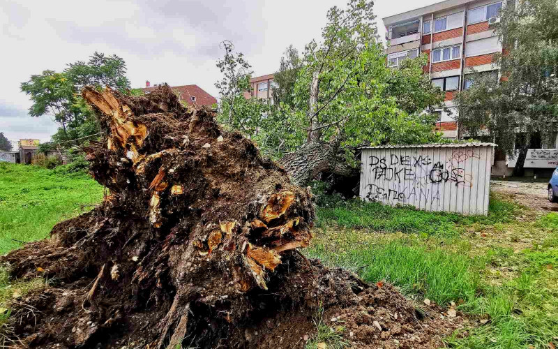 Bijeljina: U olujnom nevremenu oštećeni automobili i četiri garaže /FOTO/