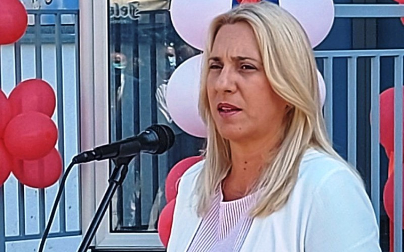 Cvijanović: Nije stvar u RS i Srbiji, BiH je sama po sebi problematična