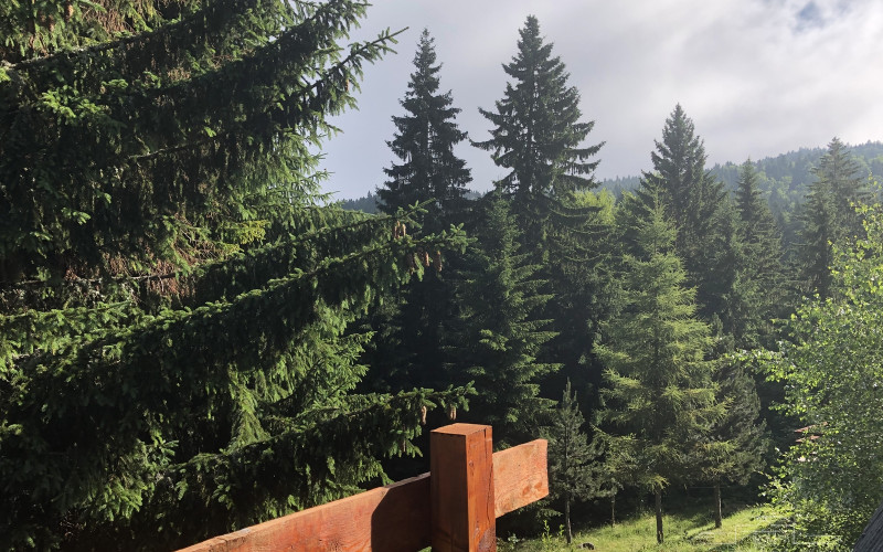 Vaučeri lijek za domaći turizam