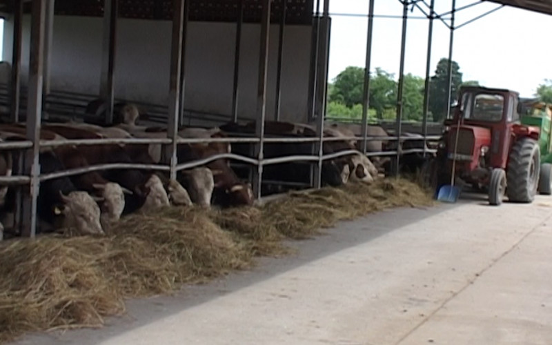 Uz savremenu opremu do kvalitetnijeg mlijeka