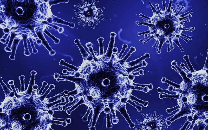 SZO: Zabrinjavajuća brzina prenošenja zaraze