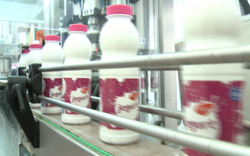 SMANJENA PROIZVODNJA U odnosu na lane, mljekare u avgustu prikupile 15,6 odsto manje mlijeka