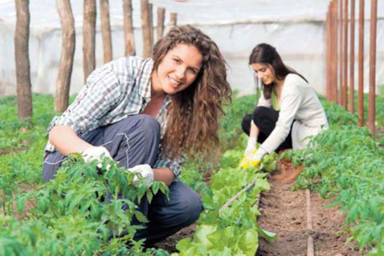 Promocijom proizvoda do boljeg plasmana