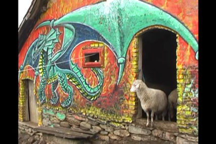 ZMAJ ČUVA OVCE Stado porodice Blagojević postalo hit zbog svog 