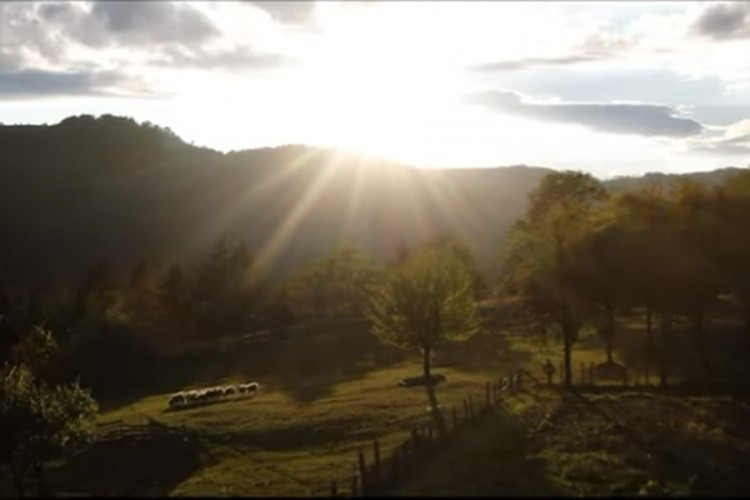 Kusturica snimio kratki film 