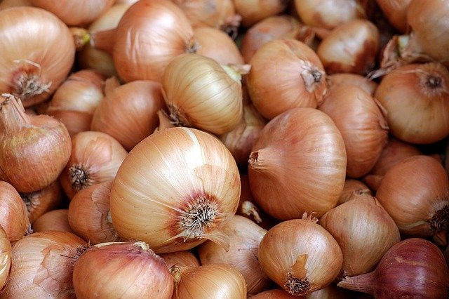 Luk držite u frižideru? Farmer tvrdi da je to potpuno pogrešno