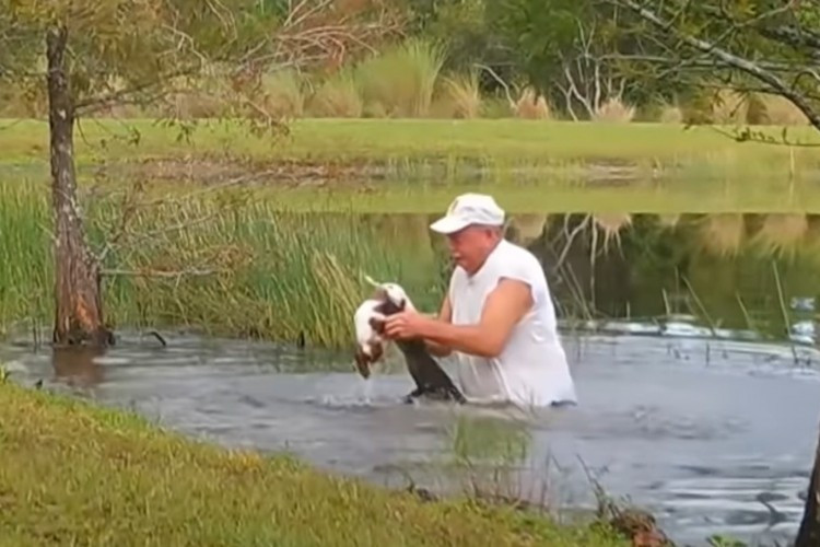 Aligator zgrabio štene na put mu stao penzioner