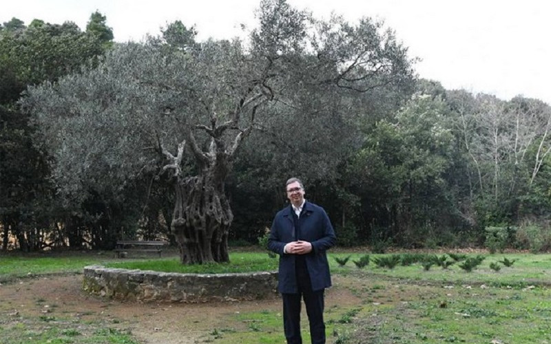 Hilandar sublimiše nacionalno, državno i duhovno jedinstvo Srba