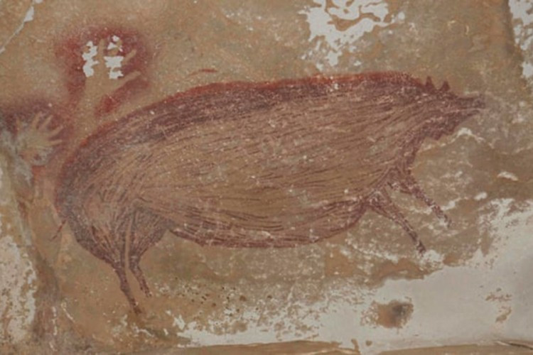 Najstarija slika na svijetu prikazuje svinju