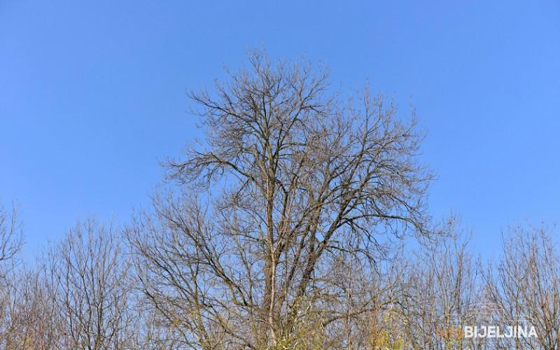 Nakon snijega, stiže kratko proljeće: Narednih dana stabilizacija vremena u BiH