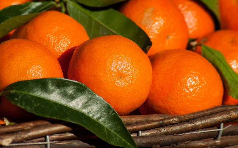 Inspekcija RS zabranila uvoz više od 20 tona mandarina iz Turske