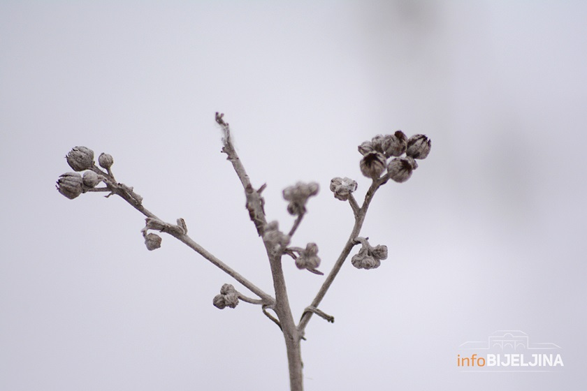Tokom dana sunčano, uveče ponegdje moguća kiša ili snijeg