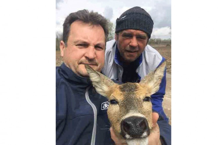 Bijeljina: Lovci spasili srnu od utapanja u rijeci Drini