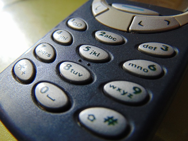 Automobili se kradu uz Nokiu 3310 /VIDEO/