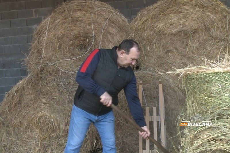 Semberski domaćin uprkos izazovima ne odustaje od proizvodnje: “Niko ne vidi koliko uložimo para, truda, znoja” (FOTO)