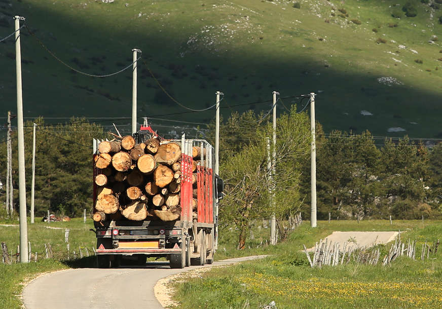 Vlada RS: Poskupljuju drvni sortimenti