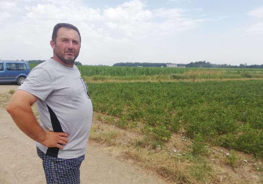 I SOJA UPITNA Suša prijeti da obere polovinu roda u Semberiji