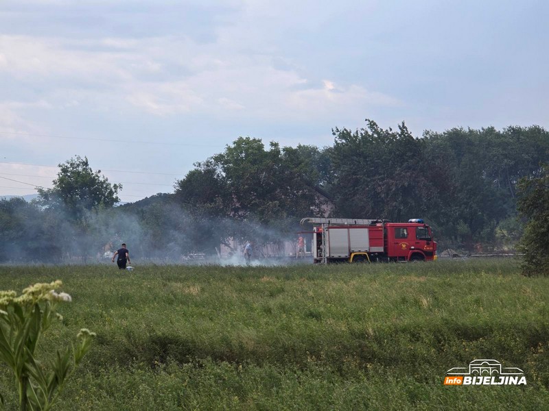 Bijeljina: Požar zahvatio obilaznicu, približio se kućama (FOTO)