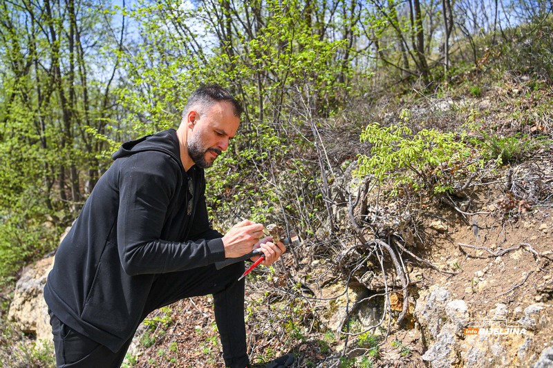 Semberija krije fosile Panonskog mora: Svijet koji je nestao prije miliona godina /FOTO; VIDEO/