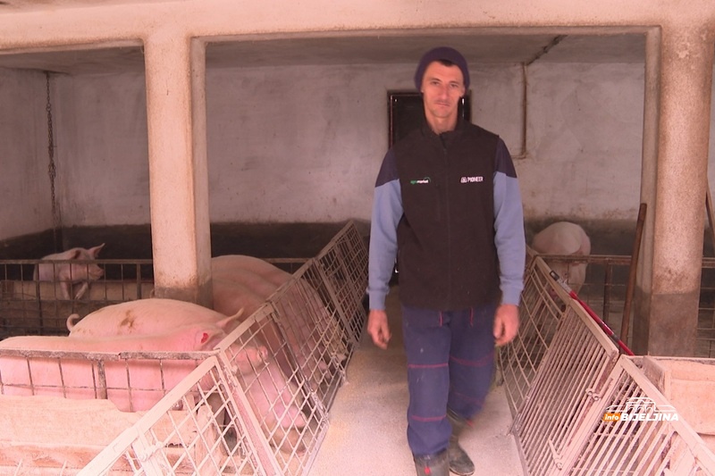 Semberac Predrag Ivanović se od djetinjstva odlučio za selo: “Ne kajem se što nisam studirao, ne sanjam o bogatstvu” /FOTO/