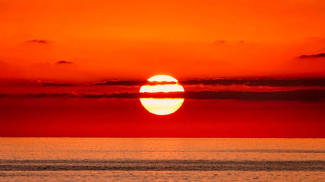 Rekordne temperature u Sredozemnom moru: Naučnici upozoravaju na ugrožene morske vrste