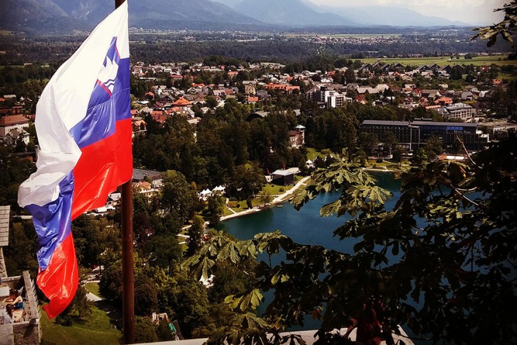 Sumnja na prvi slučaj afričke svinjske kuge u Sloveniji