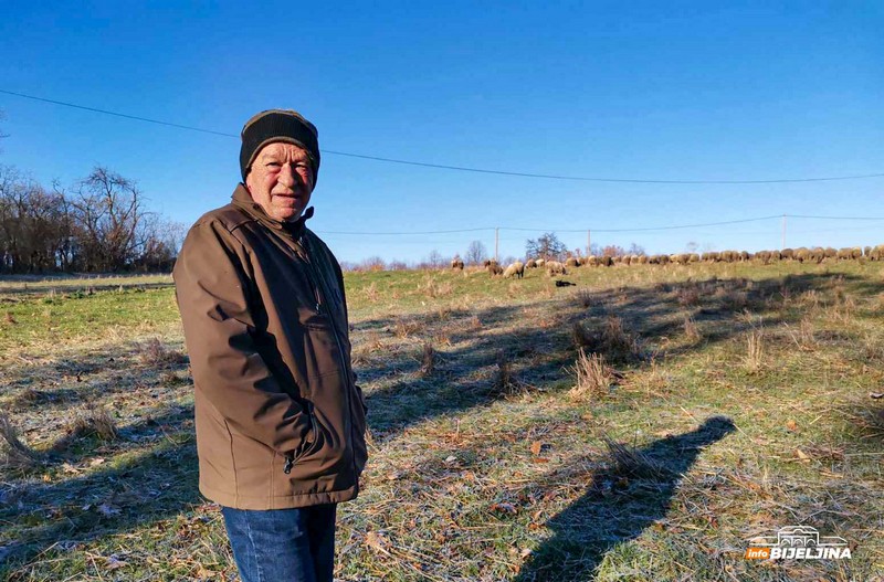 Semberija: Zbog nestašice prasadi drastično poskupjela jagnjad (FOTO)