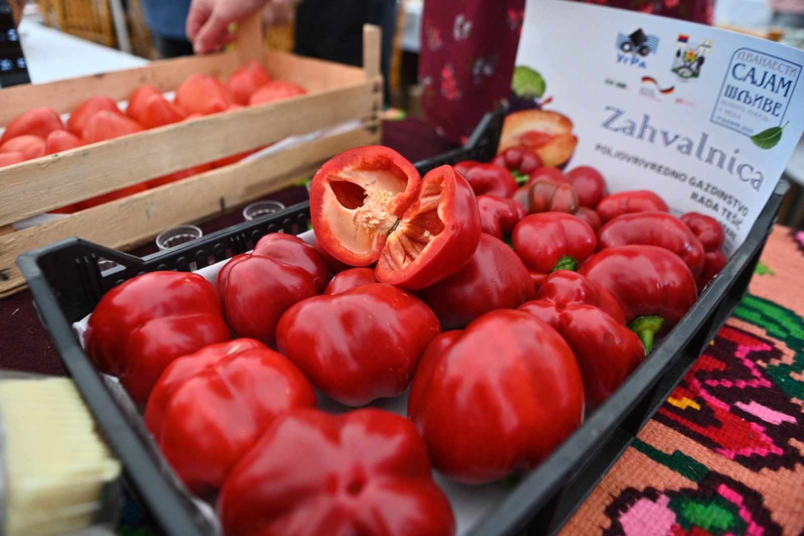 Vasilije Perić: Ugljevik ima vrijedne domaćine /FOTO/