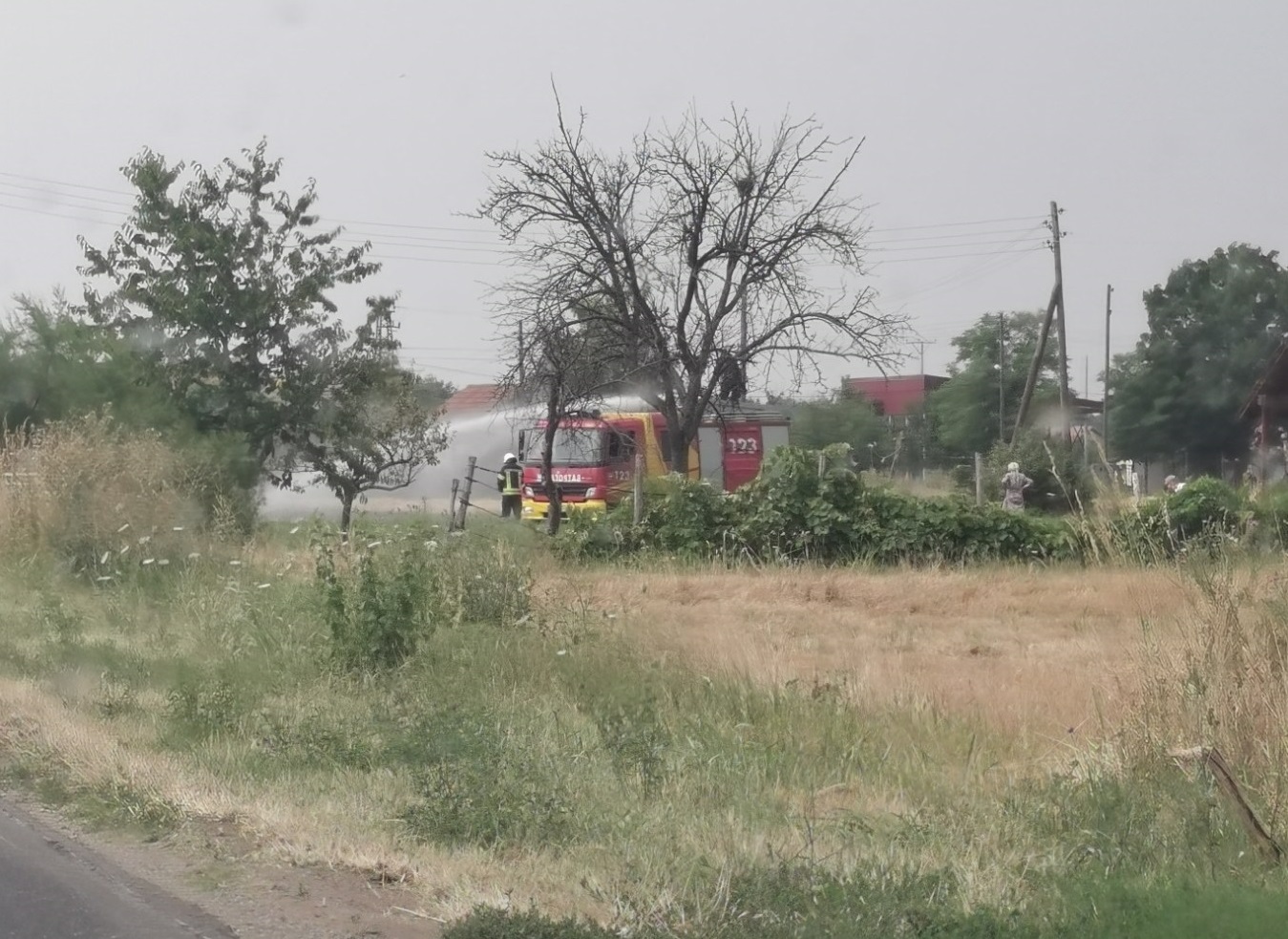 Požar u Patkovači, vatrogasci na terenu (FOTO)