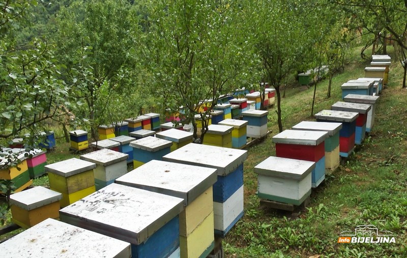 InfoBijeljina u posjeti majevičkim pčelarima: Godina loša, ali neće povećavati cijenu meda (FOTO)