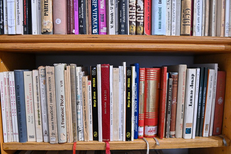 Biblioteka Srpskog centra u Beču može da se pohvali sa 5.000 naslova (FOTO)