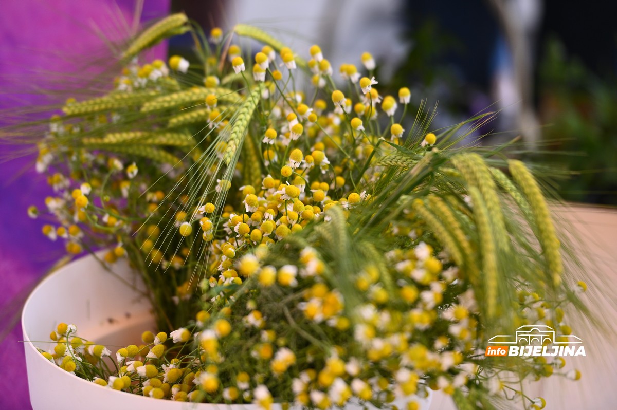 Otvoren Sajam cvijeća u Bijeljini (FOTO)