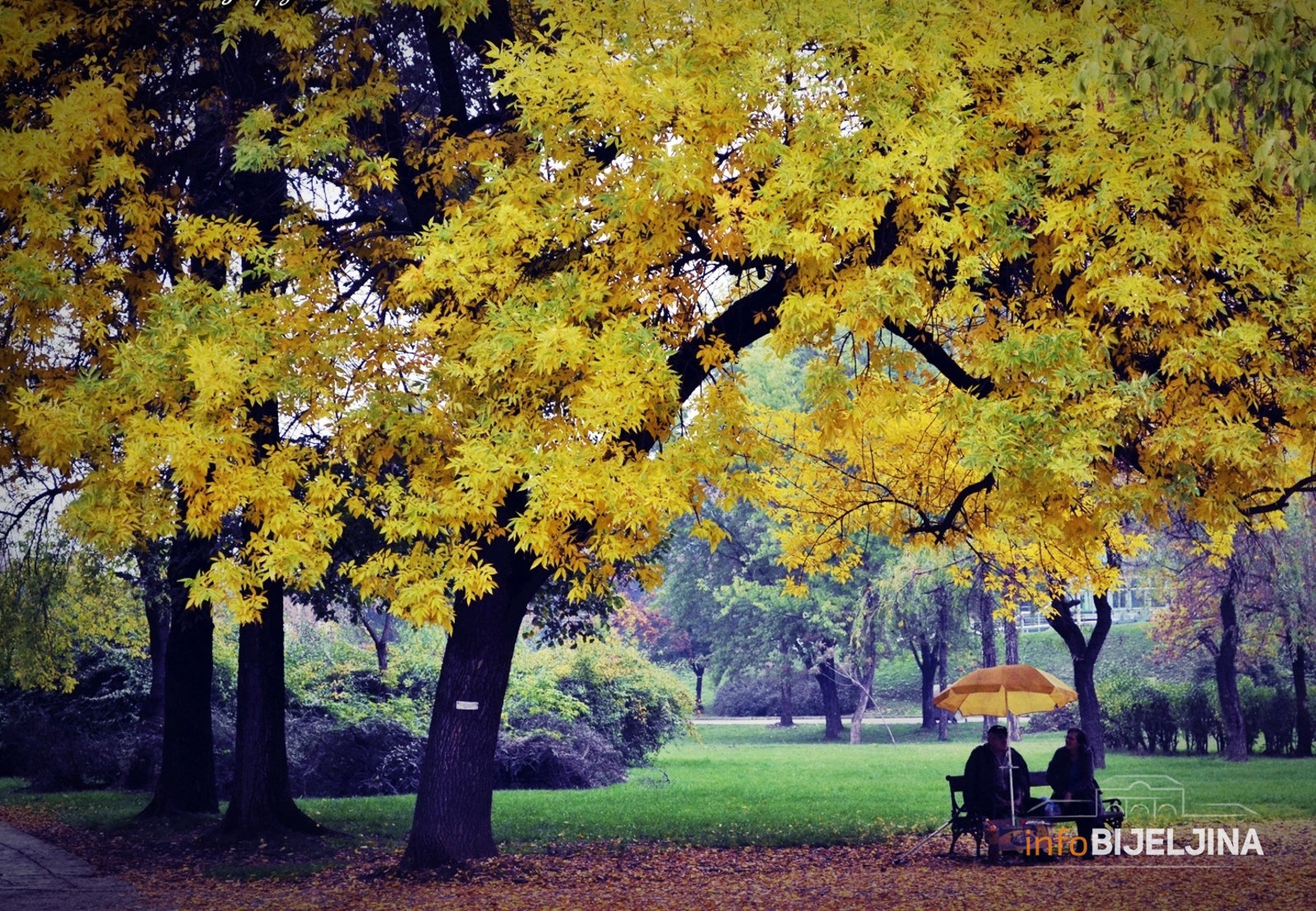 Jeste li znali zašto lišće mijenja boju na jesen?