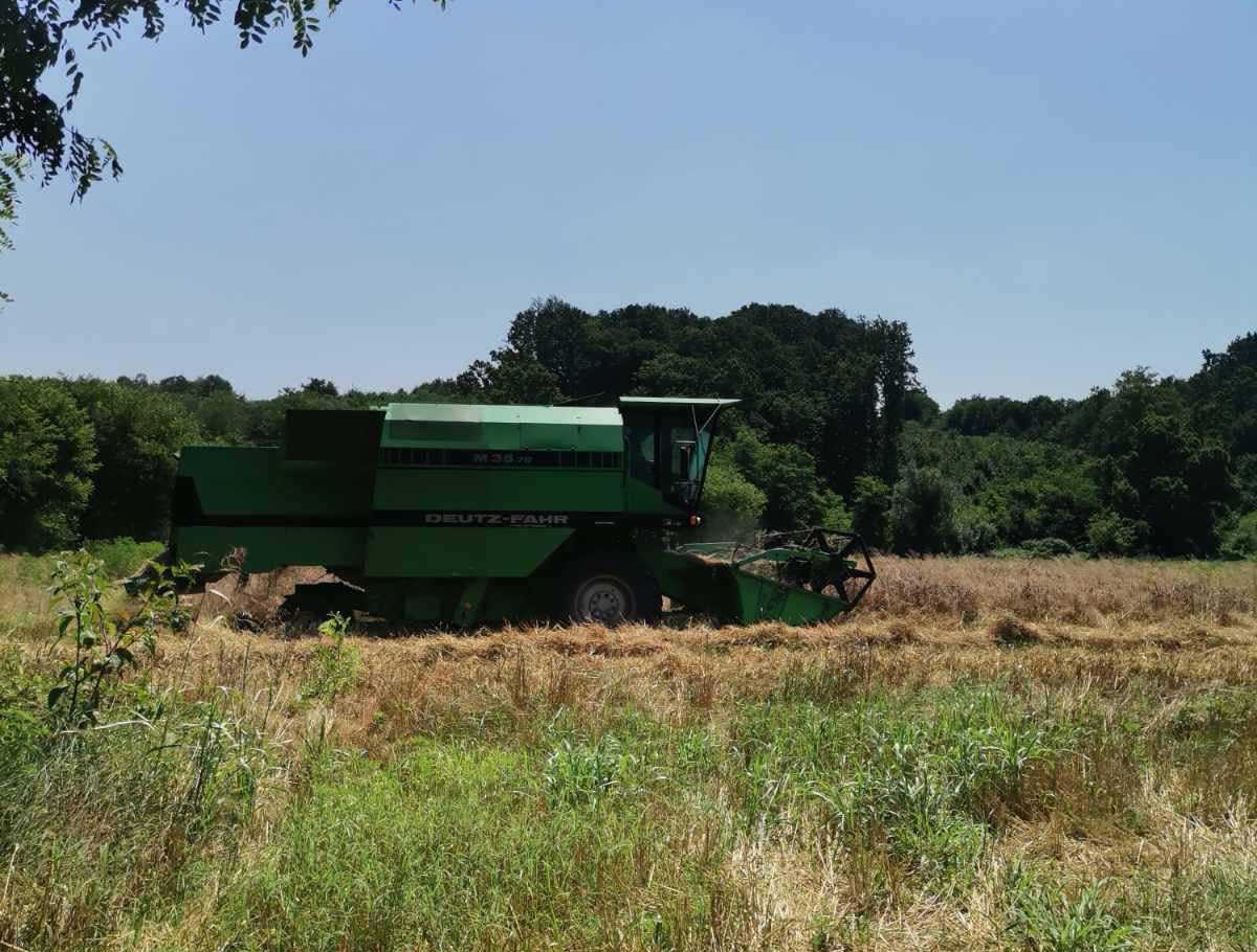 Bijeljina: Došli sa pet kombajna i ovršili pšenicu prijatelju koji je ostao bez ruke i operisao kičmu
