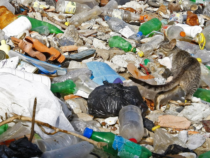 U BiH se godišnje baci 400.000 tona hrane, a javne kuhinje gladuju – donacije stale uprkos novom zakonu