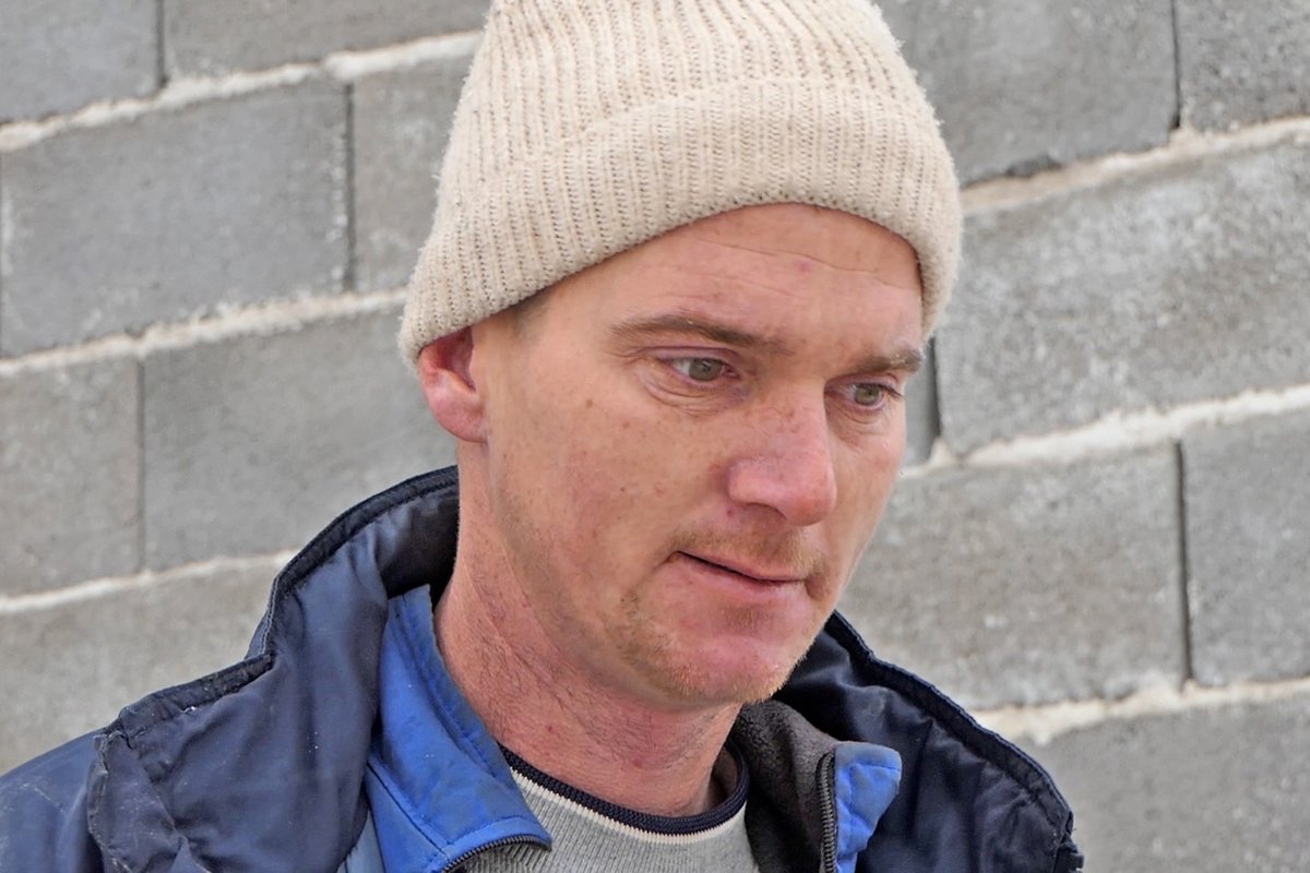 Velika nesreća zadesila farmera: Štala se srušila na stado ovaca (VIDEO)