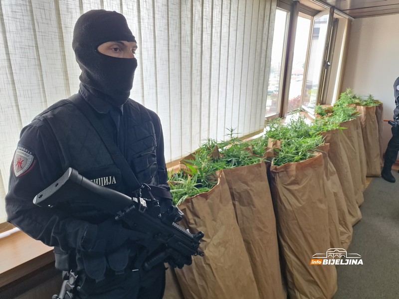 PU Bijeljina: Zaplijenili 172 kilograma marihuane, uhapšen muškarac iz Lopara (FOTO)
