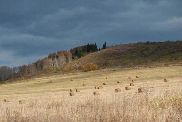 Sutra tokom dana sunčanije uz malu oblačnost, uveče na sjeveru kiša