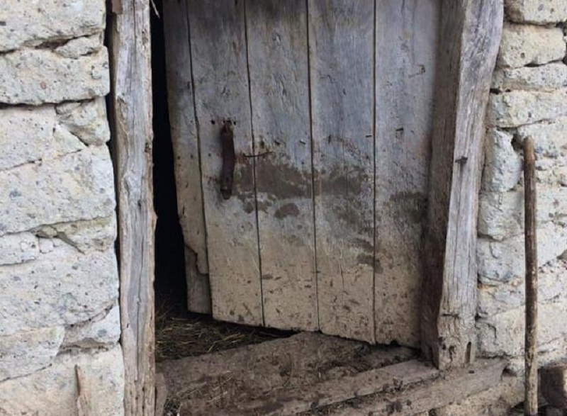 Medvjed ubio više od dvadeset ovaca u dva domaćinstva u Papraći, primijećeni tragovi mečke i dva mečeta