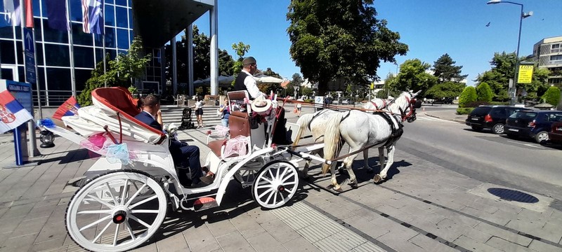 Kolektivno vjenčanje u Bijeljini (FOTO)