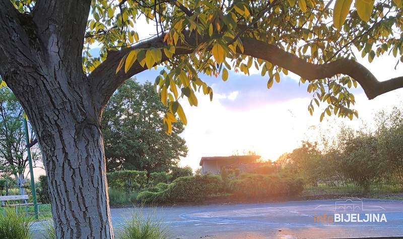 I danas vruće, temperatura do 38 stepeni